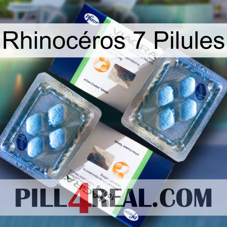 Rhinocéros 7 Pilules viagra5